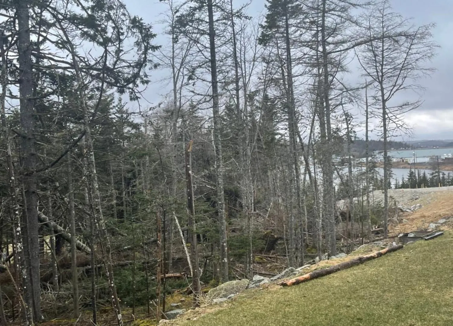 1-Bedroom Basement Apartment Halifax Canada